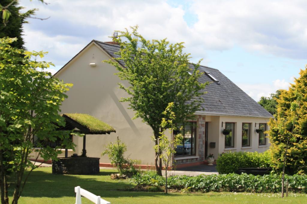 Palmgrove Bed & Breakfast Listowel Buitenkant foto